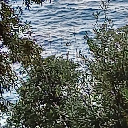 Ferienhaus Joli F2 Vue Sur Mer Erbalunga (Corsica)
